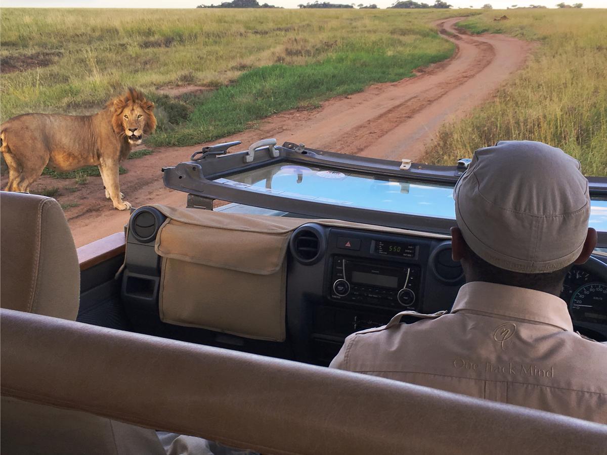 One Nature Nyaruswiga Serengeti Banagi Экстерьер фото