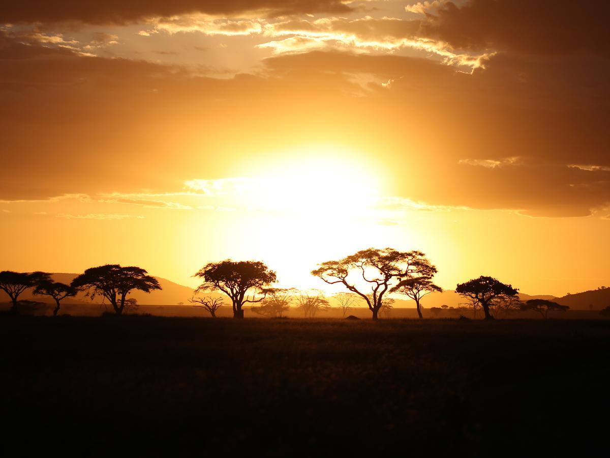 One Nature Nyaruswiga Serengeti Banagi Экстерьер фото