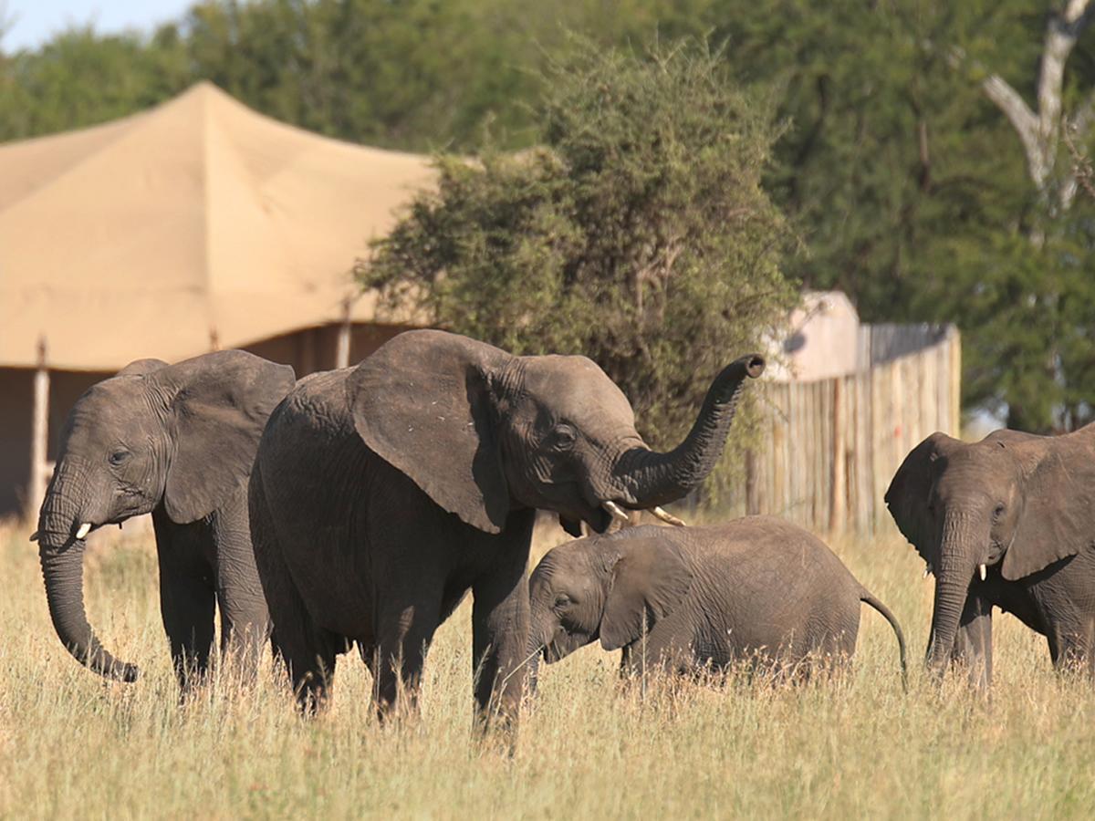 One Nature Nyaruswiga Serengeti Banagi Экстерьер фото