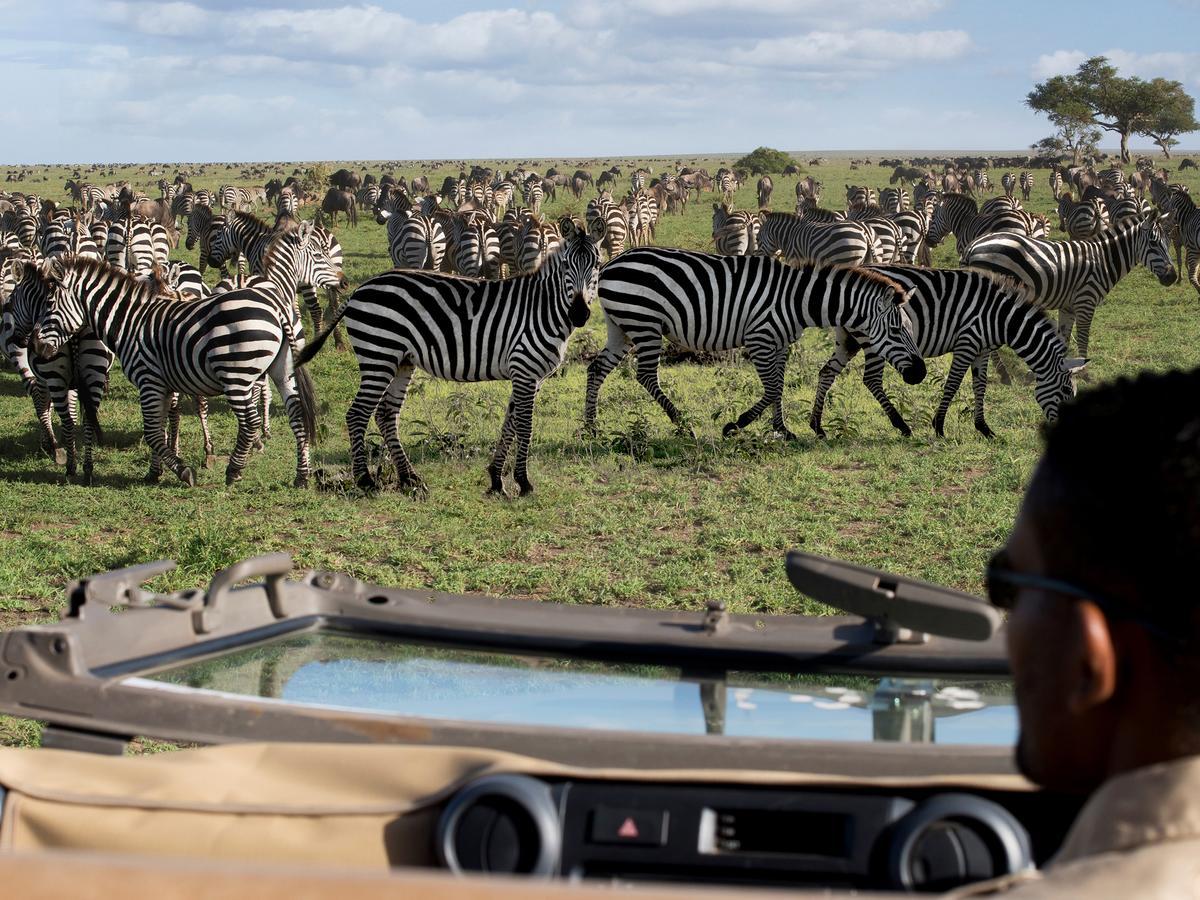 One Nature Nyaruswiga Serengeti Banagi Экстерьер фото